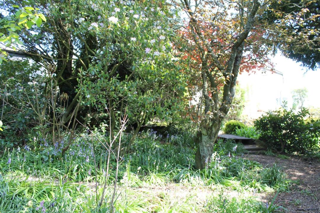 Photo of Outdoor in Middleton in Teesdale