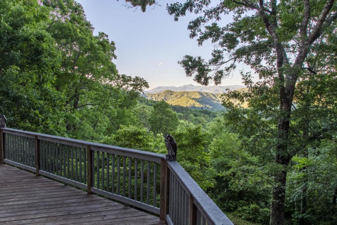 Photo of Others in Sylva