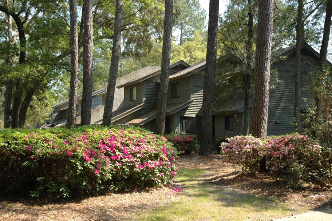 Photo of Others in Shipyard Plantation