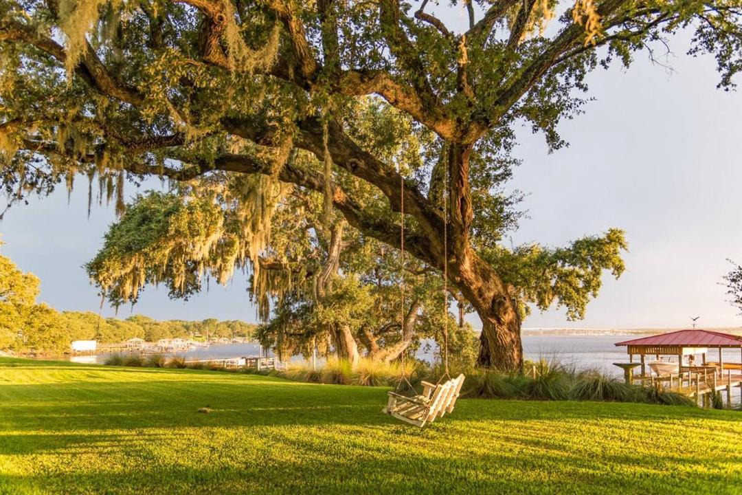 Photo of Others in West Ashley
