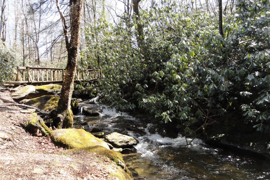 Photo of Others in Beech Mountain