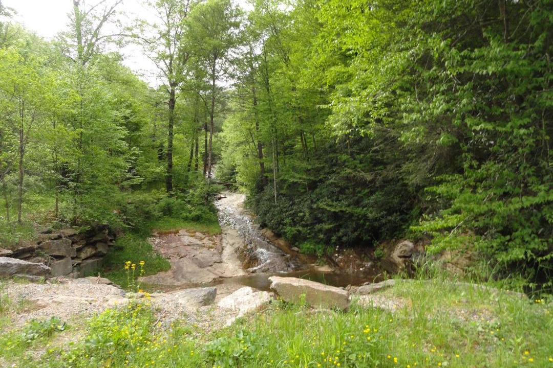 Photo of Others in Beech Mountain