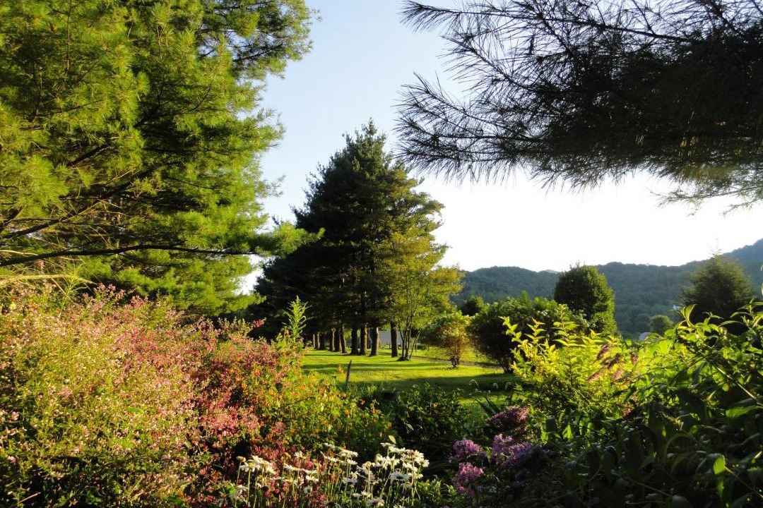 Photo of Others in Beech Mountain