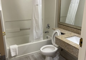 Microtel Inn & Suites by Wyndham Statesville
