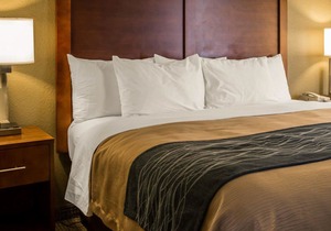 Comfort Inn Elizabeth City Near University