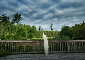 Highland Lake Inn & Resort