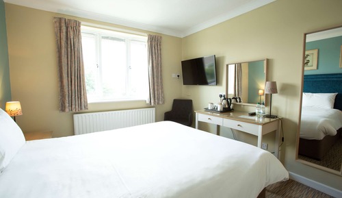 Deluxe Room, 1 King Bed, Non Smoking (View)