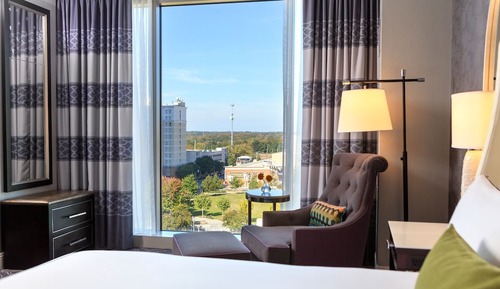 Room, 1 King Bed, Park View