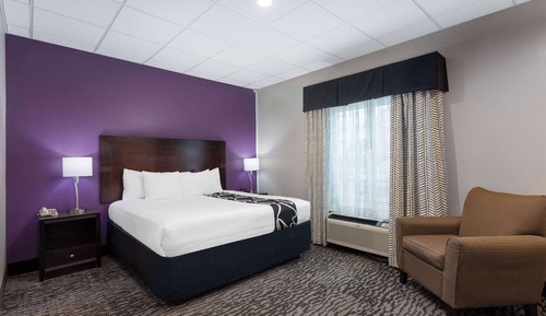 Room, 1 King Bed, Accessible, Non Smoking