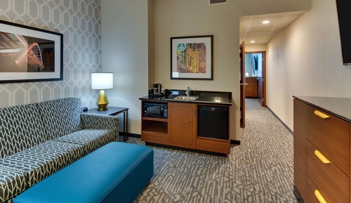 Suite, 1 King Bed with Sofa bed, Accessible (Sofa Sleeper, Roll-in Shower, 2 Rooms)