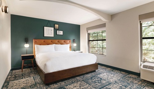 Room, 1 King Bed