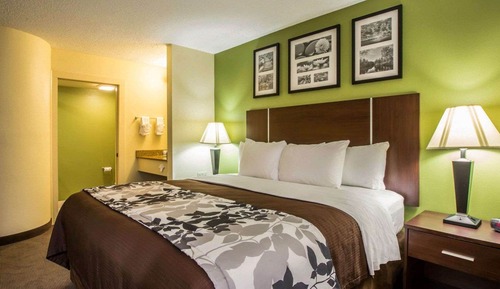 Standard Room, 1 King Bed, Non Smoking