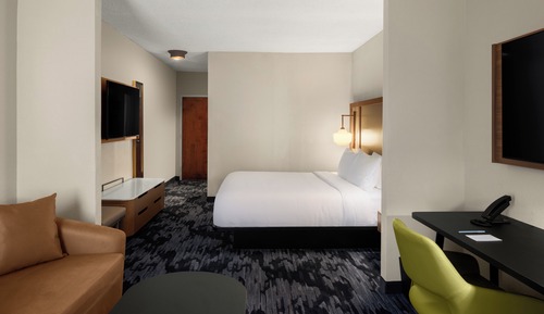 Suite, 1 King Bed with Sofa bed