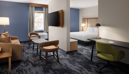 Suite, 1 King Bed with Sofa bed