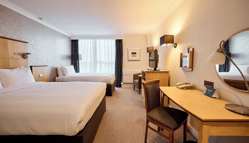 Standard Room, Multiple Beds (1 King 1 Single Standard)