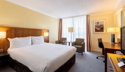 Standard Room, 1 King Bed with Sofa bed