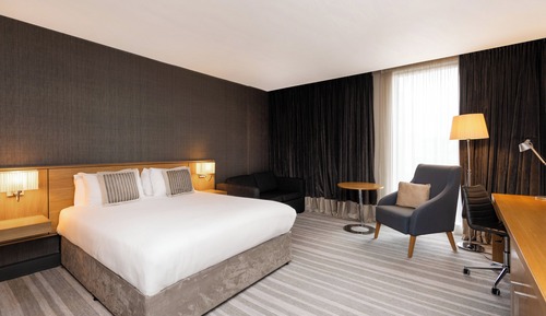 Standard Room, 1 King Bed with Sofa bed