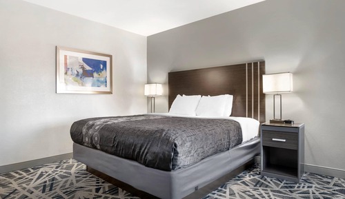 Standard Room, 1 King Bed, Non Smoking