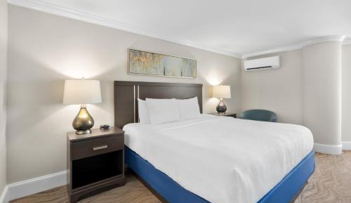 1 King Bed Studio (City View)