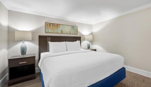 1 King Bed Accessible Suite (Water View)