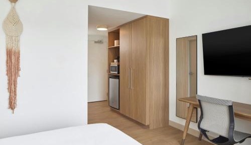 King Studio with Sofa Bed - Hearing Accessible