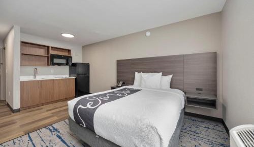 Deluxe Studio with 1 Queen Bed - Non-Smoking