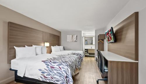 Deluxe Room with Two Double Beds Non-Smoking