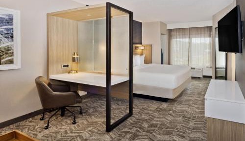 King Suite with Roll-In Shower and Trundle Sofa - Mobility Access/Hearing Accessible