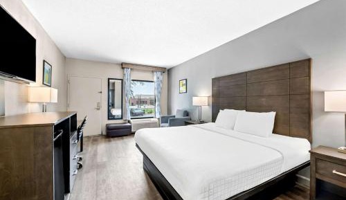 King Room - Pet Friendly/Non-Smoking