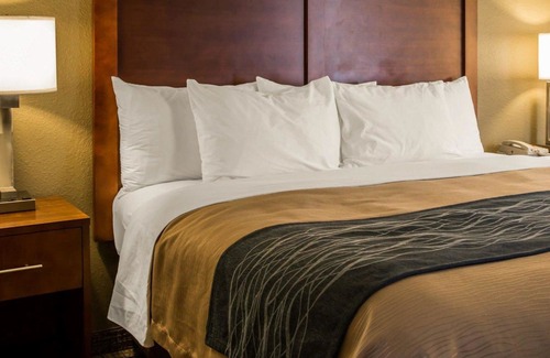 Elizabeth City Hotel | Comfort Inn Elizabeth City Near University
