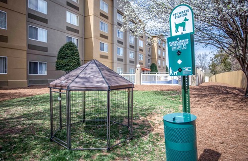 Kannapolis Hotel | Comfort Inn & Suites Kannapolis - Concord