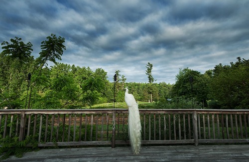 Flat Rock Hotel | Highland Lake Inn & Resort