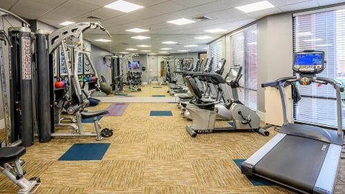 Downtown Apartment | Viagem Beautiful and Spacious 1BR with Gym and Pool