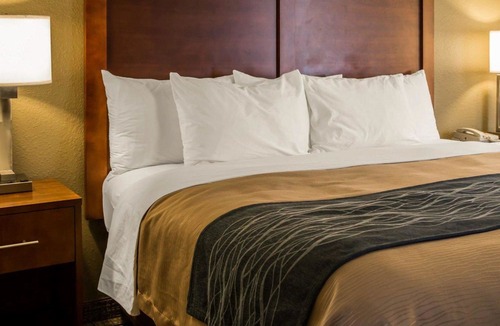 Elizabeth City Hotel | Comfort Inn Elizabeth City Near University