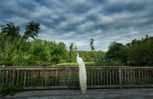 Flat Rock Hotel | Highland Lake Inn & Resort